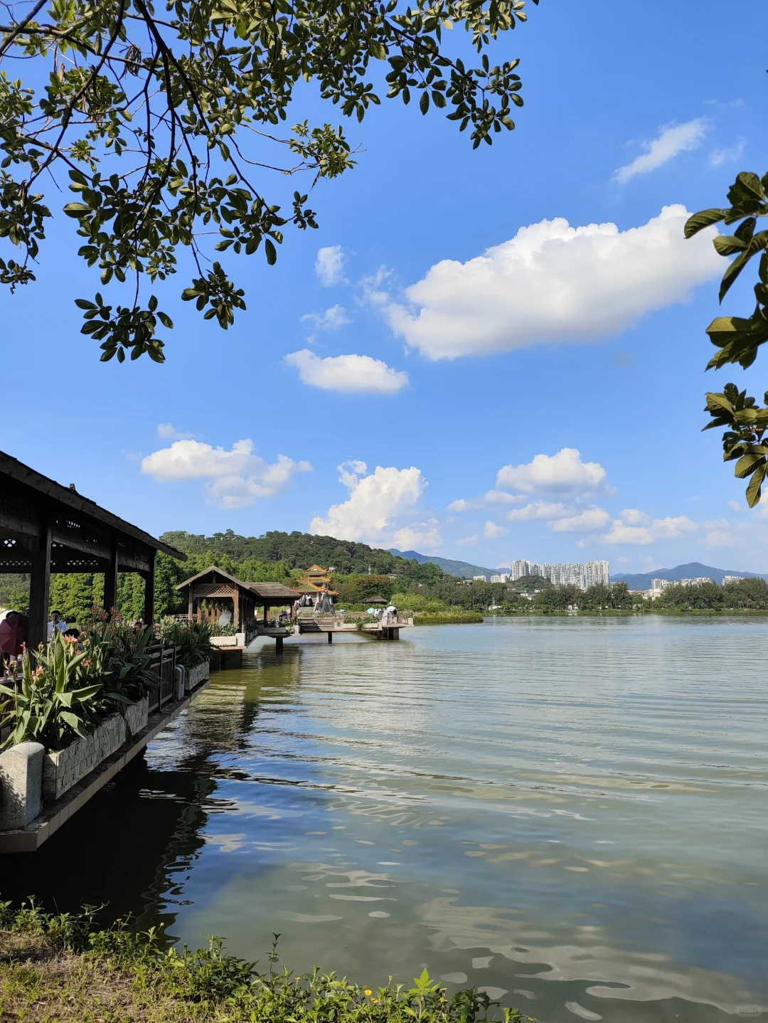肇庆必玩!七星岩游玩攻略😋😋