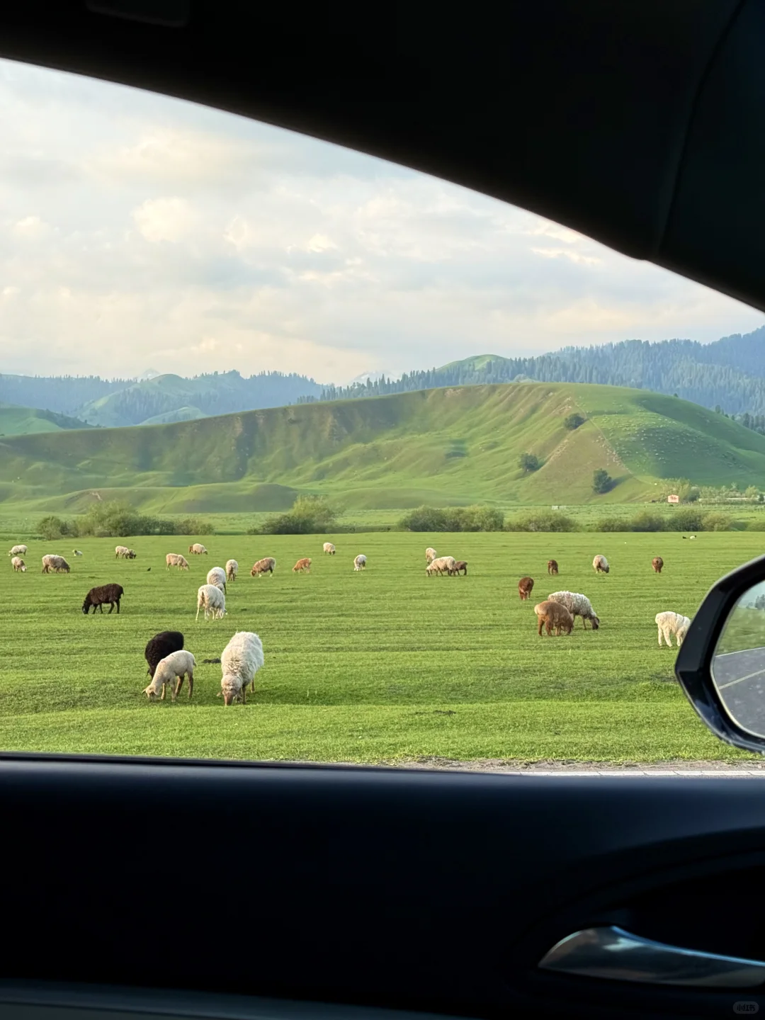 听劝!晚上8点之后再进那拉提景区..