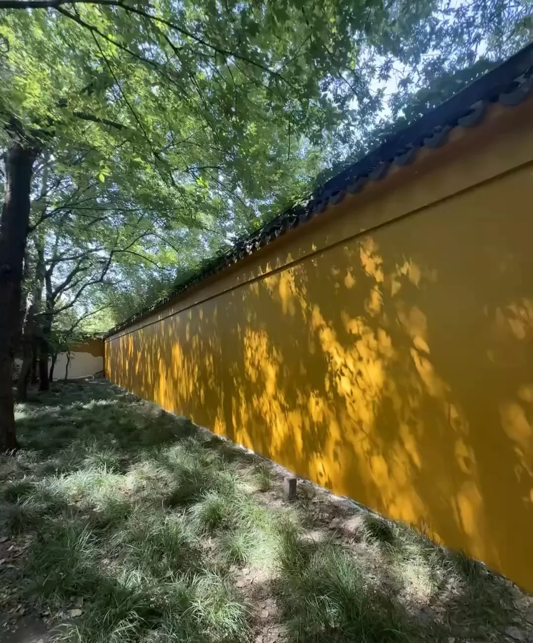 苏州3天2夜人均400💰攻略✅穷游党速速码住