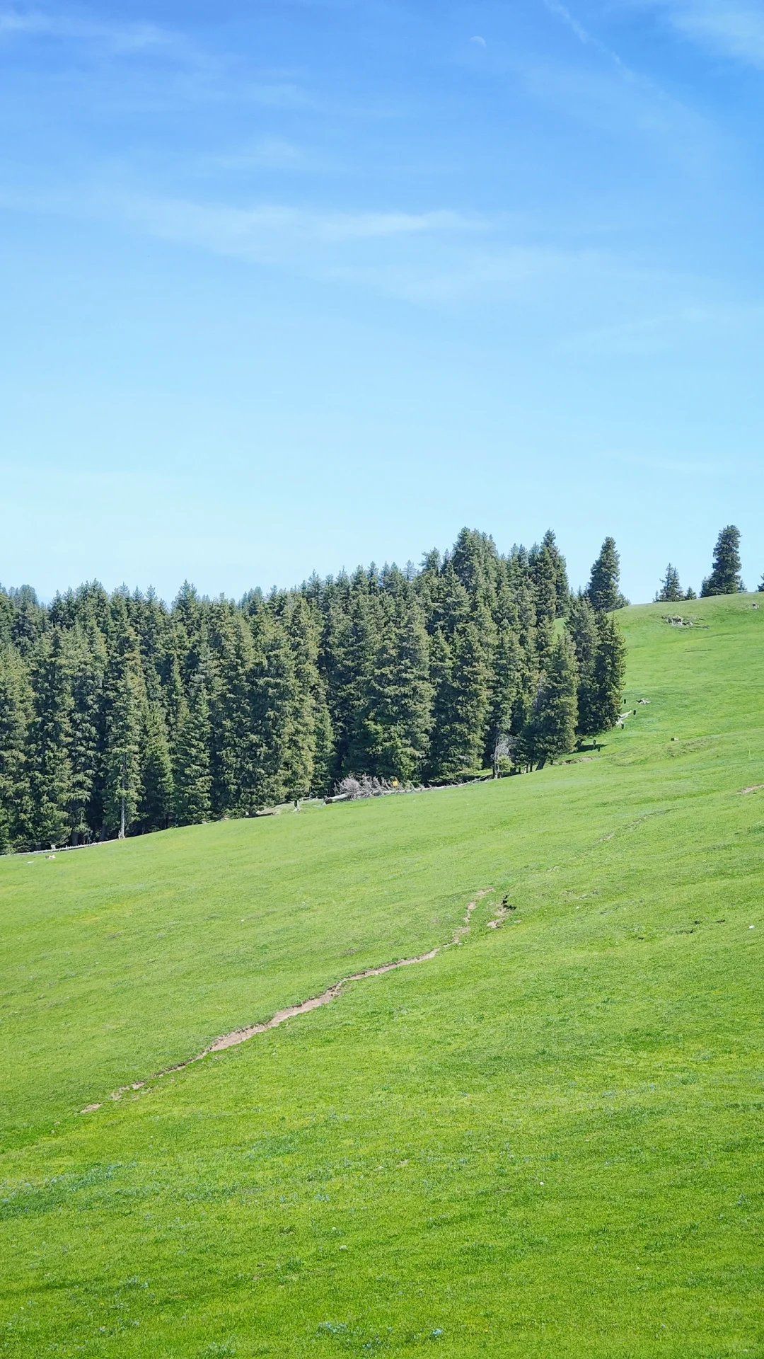 江布拉克的平替：马圈湾