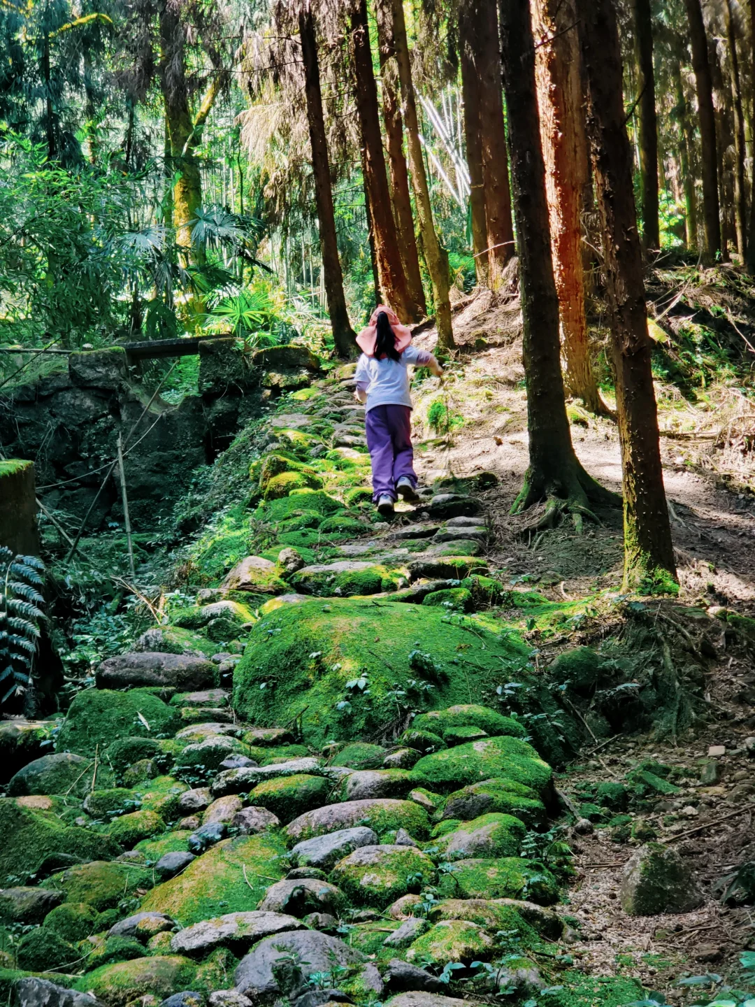 几乎没人的徒步秘境！景色绝美，亲子友好！