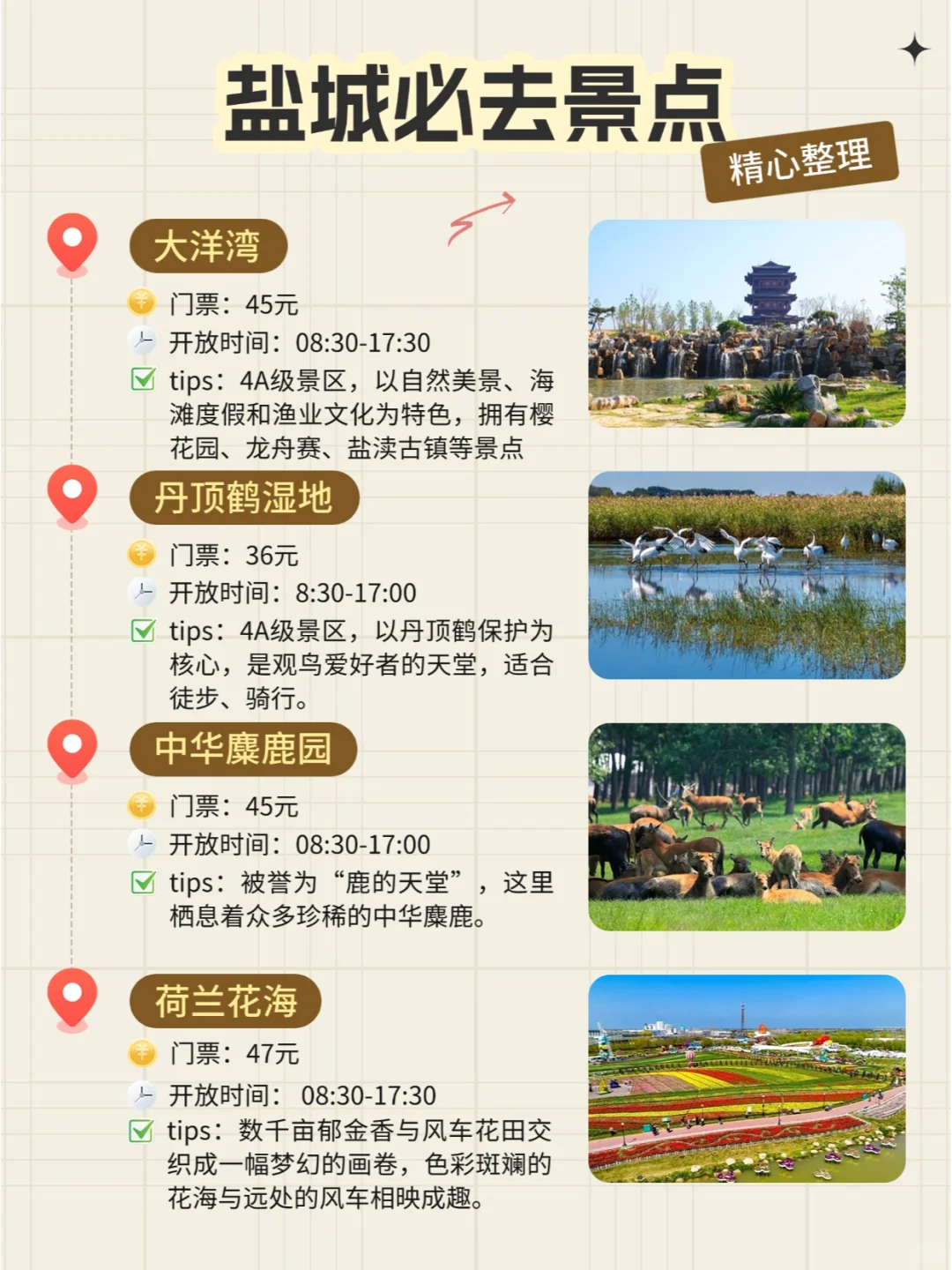 【盐城】宝藏旅游城市，4图全知道