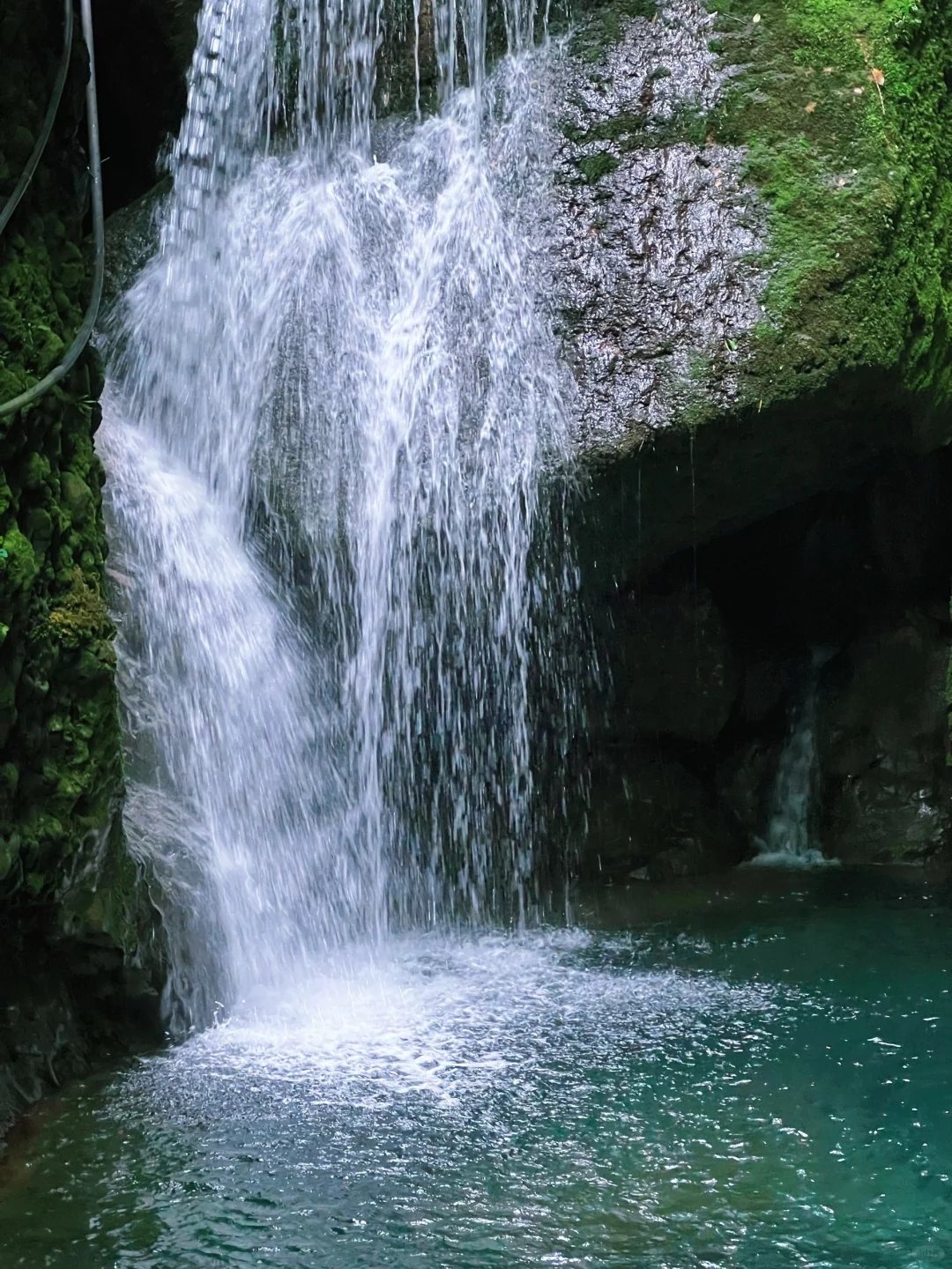 这儿真的太适合逃离了！森林氧吧🌳