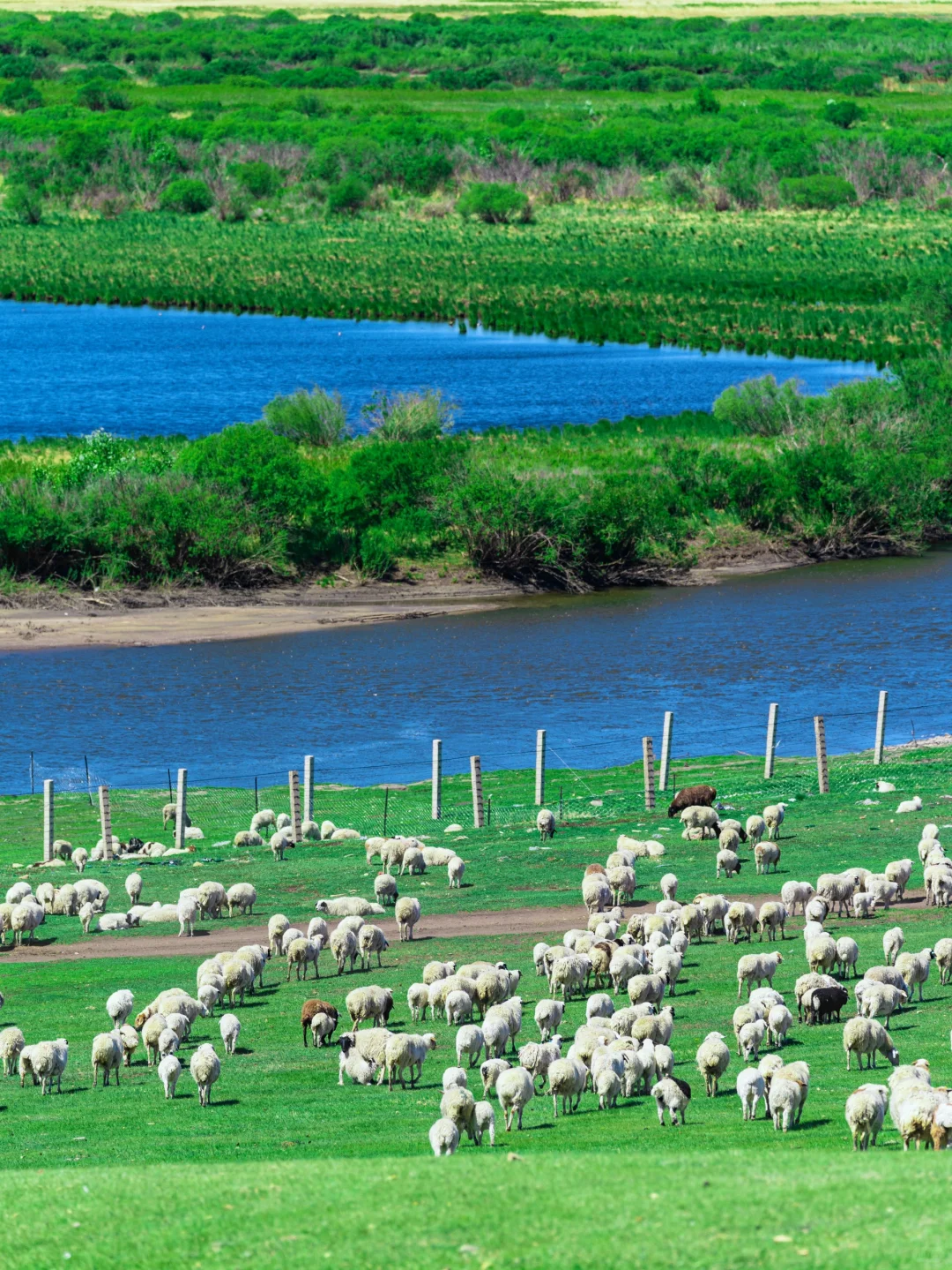 草原的尽头是海｜真不是英国，这里是内蒙古！