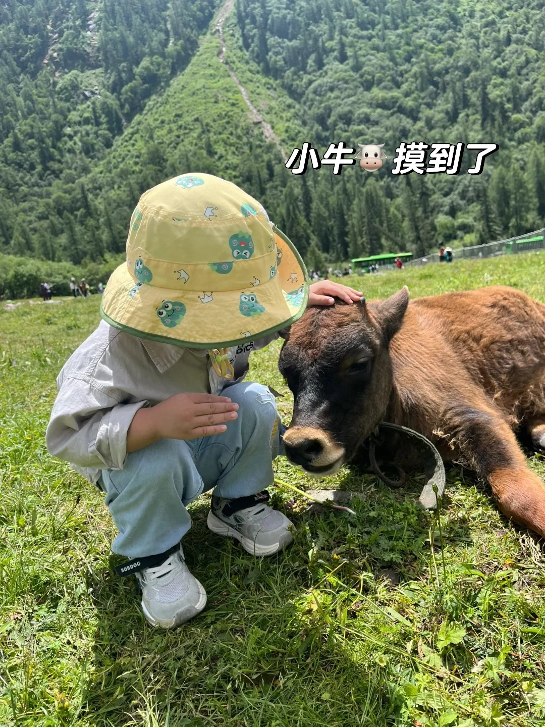 6~8月一定要带娃来这避暑💐比瑞士还震撼！！