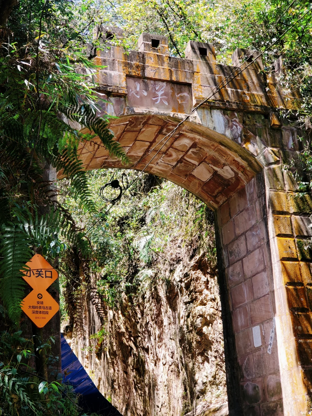 几乎没人的徒步秘境！景色绝美，亲子友好！