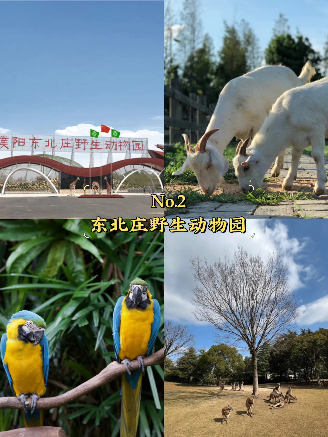 濮阳必去9大景点‼️濮阳旅游必看❗️