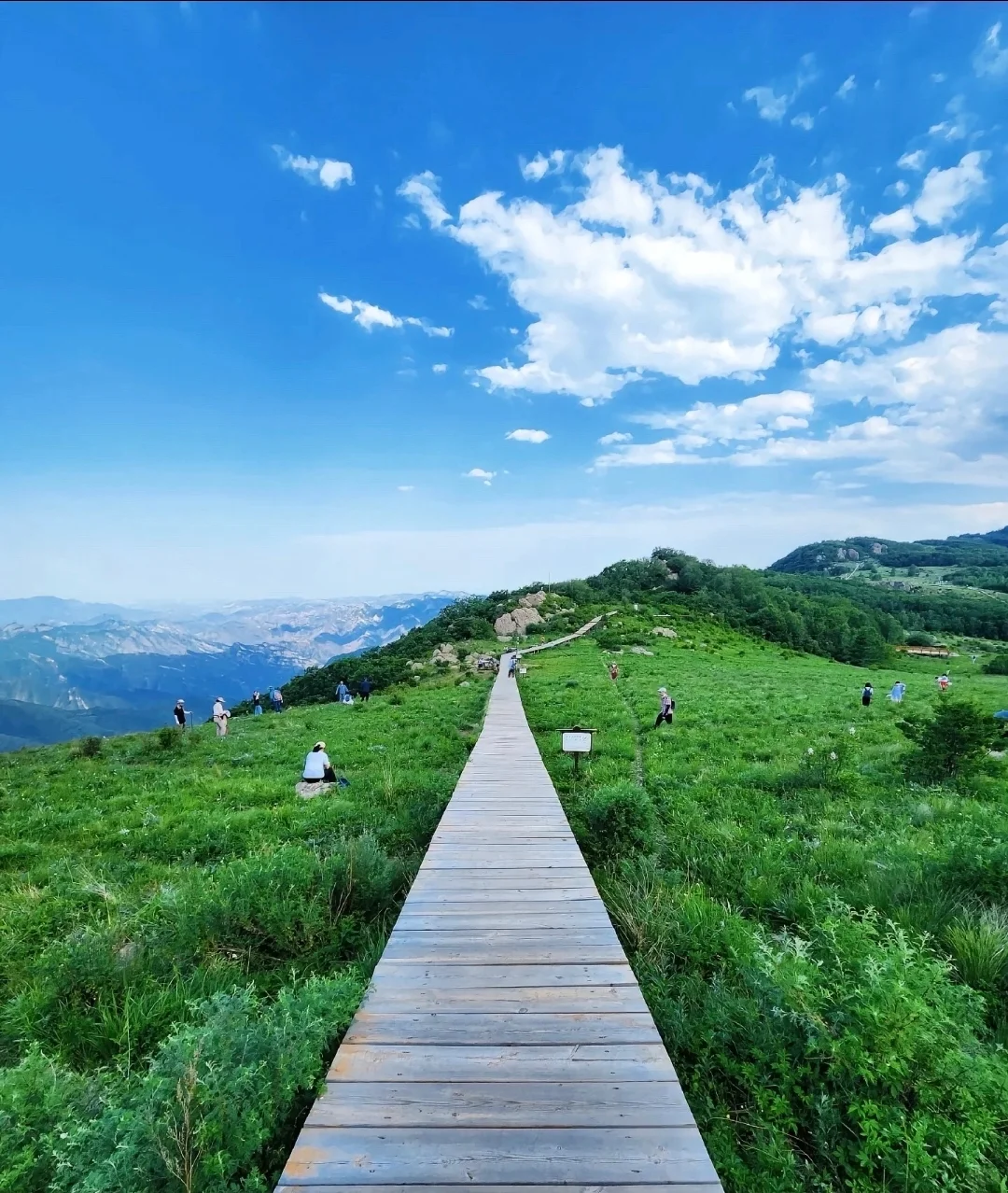 沉浸感受保定野三坡五大景区及五大漂流乐园