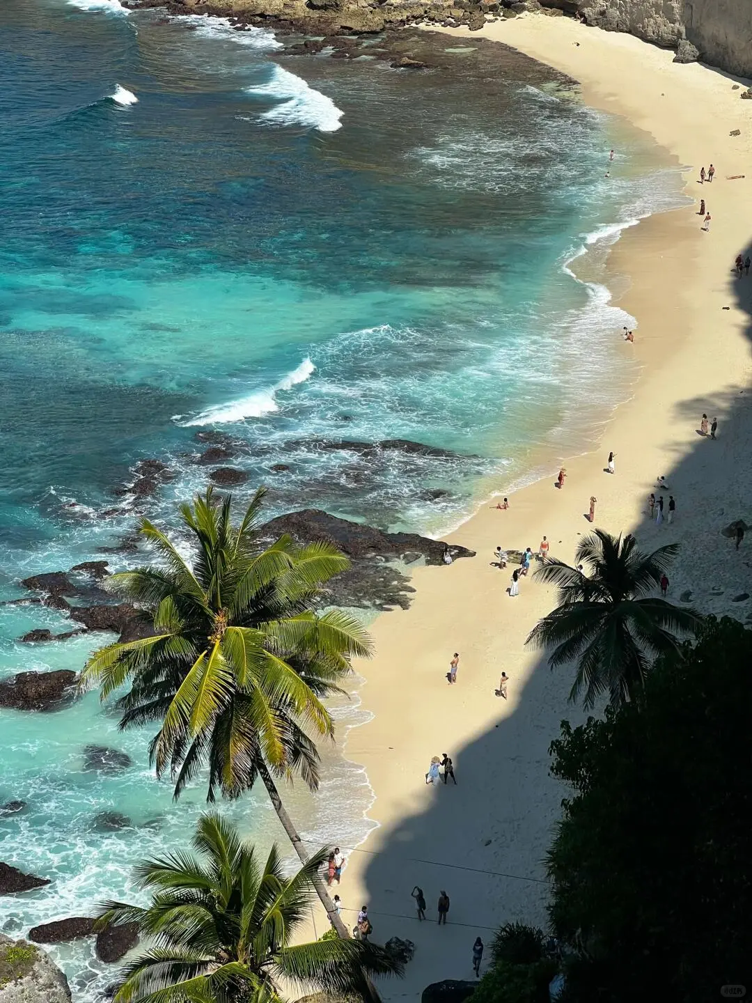 去巴厘岛玩要小心！真的太危险了...