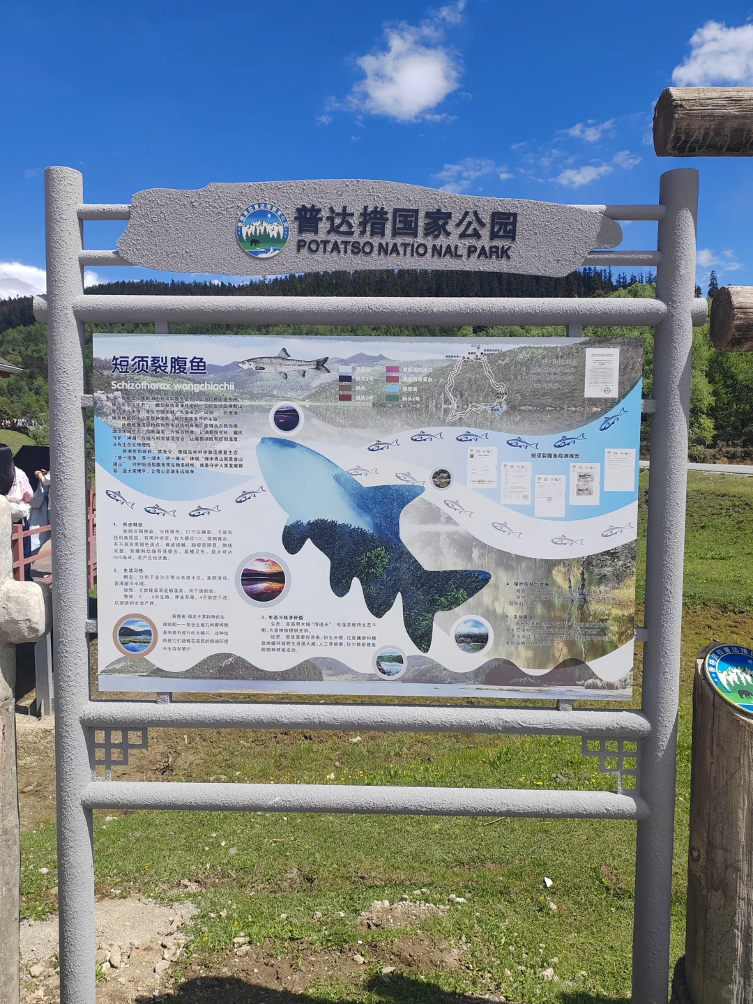 香格里拉普达措国家公园门票不便宜但确实美