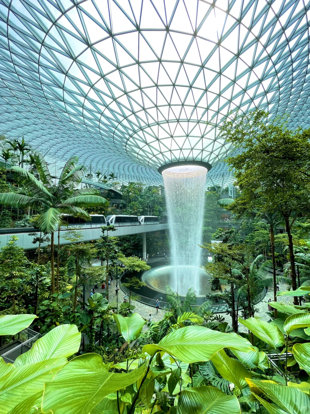 新加坡旅行后劲太大了😭哭着发出18张live….