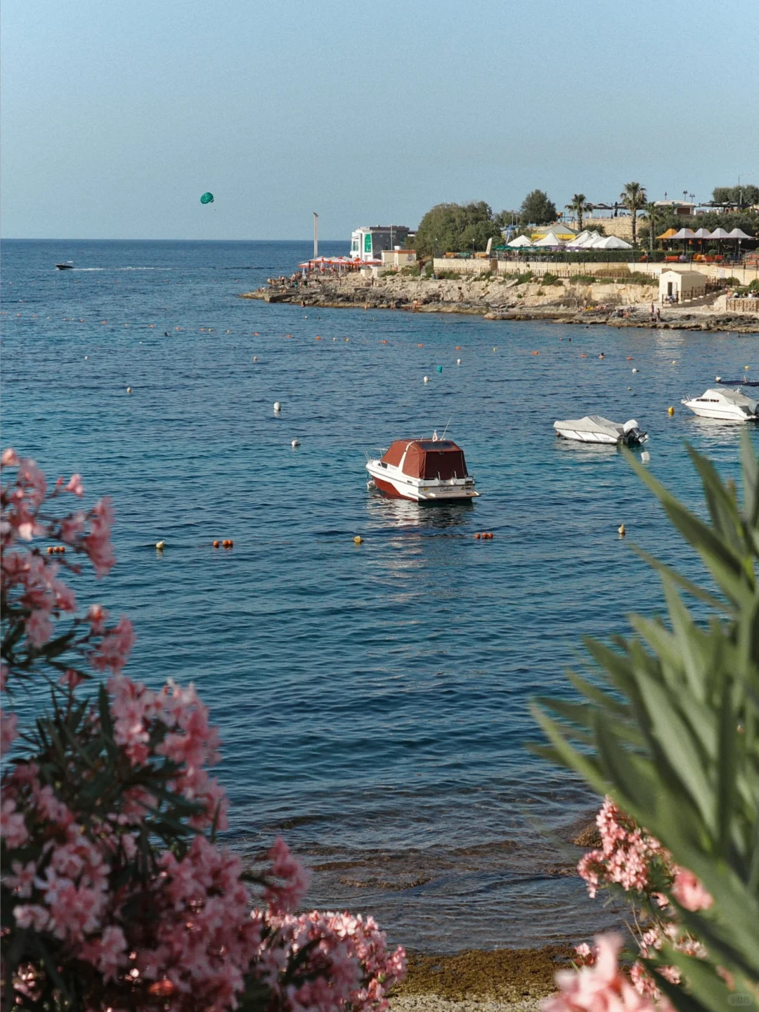 马耳他，一个安全的欧洲国家，待到不想走了