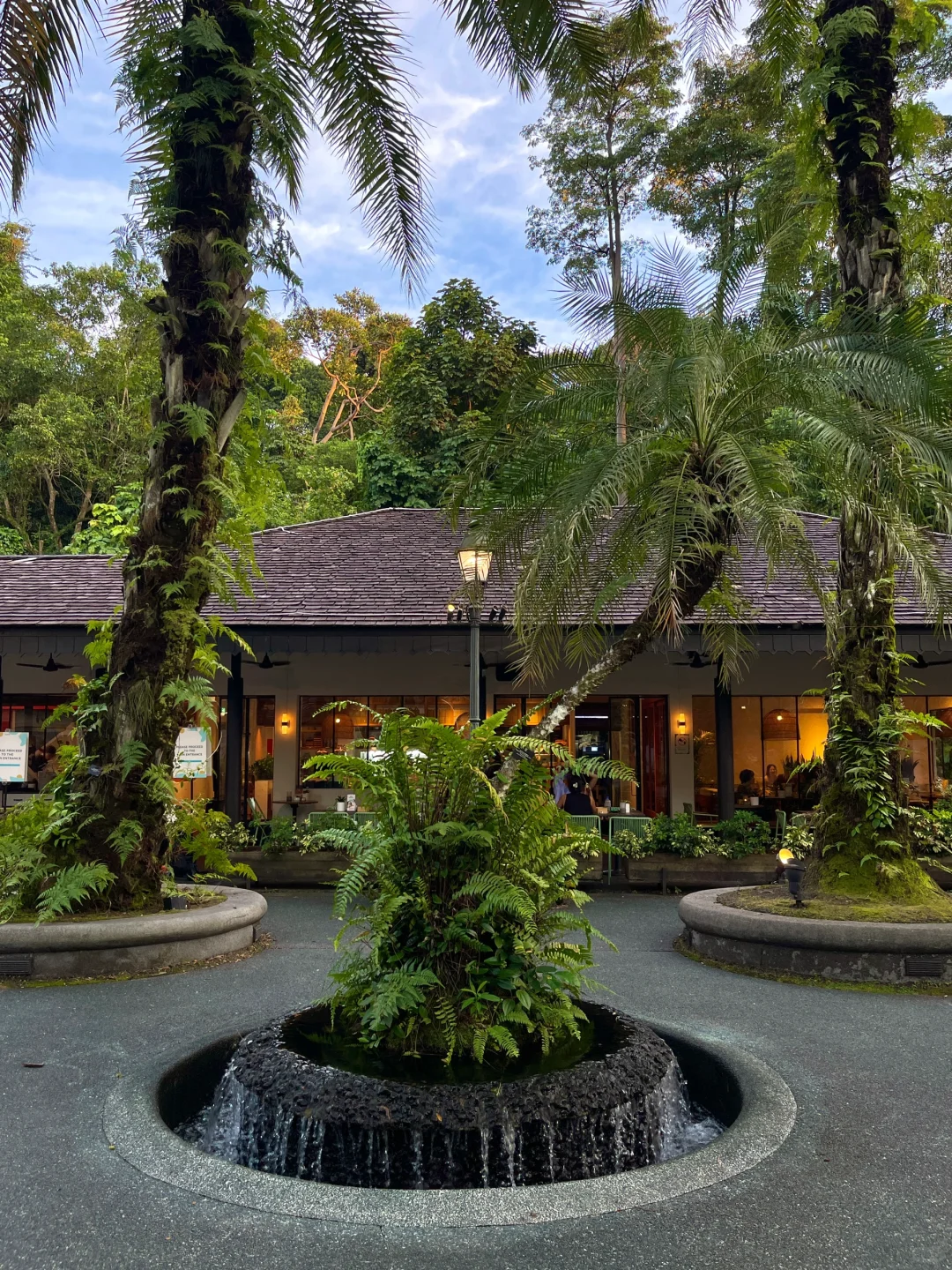 新加坡旅行后劲太大了😭哭着发出18张live….