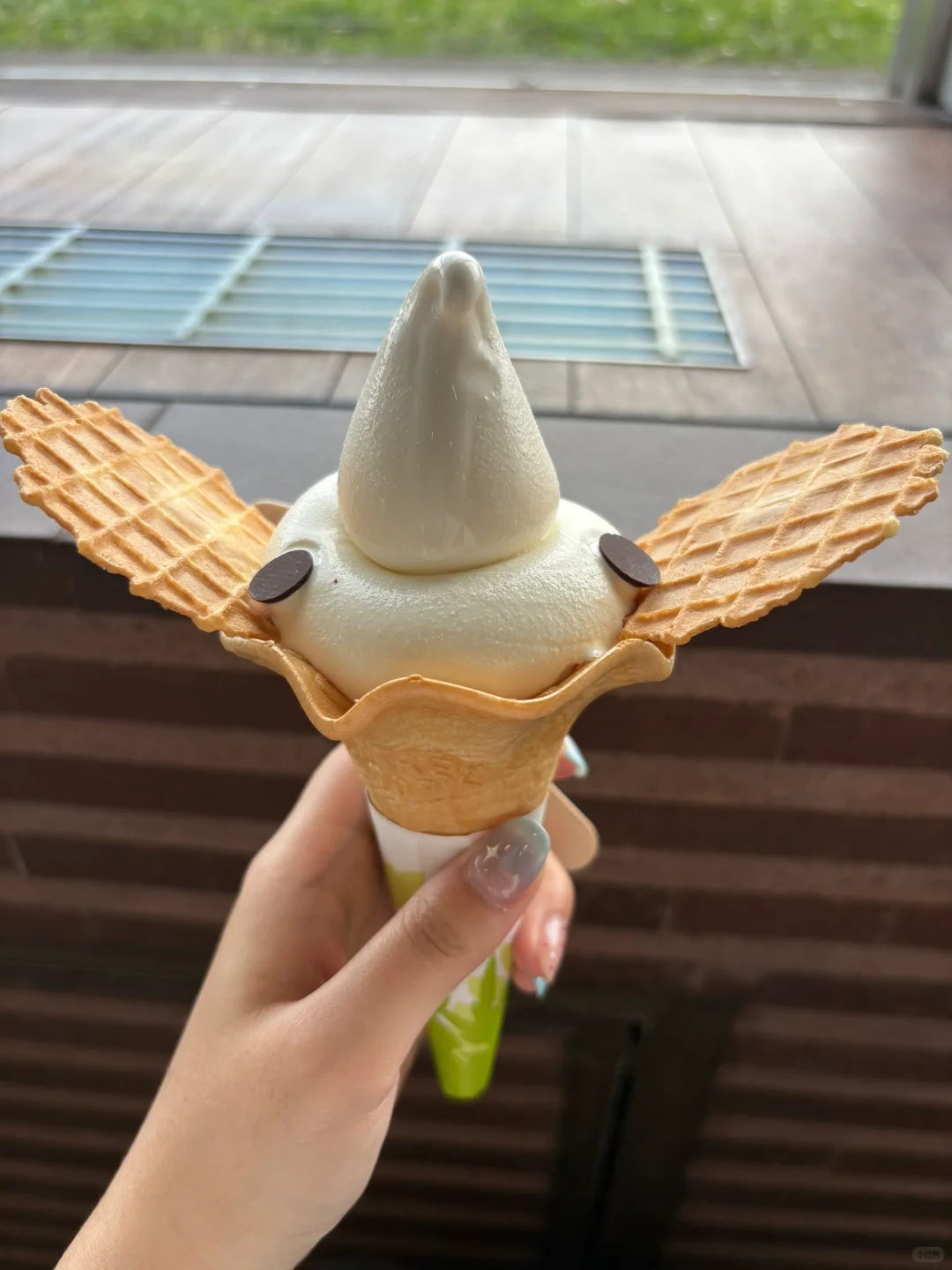 一个人出国旅游了，却并没有很开心