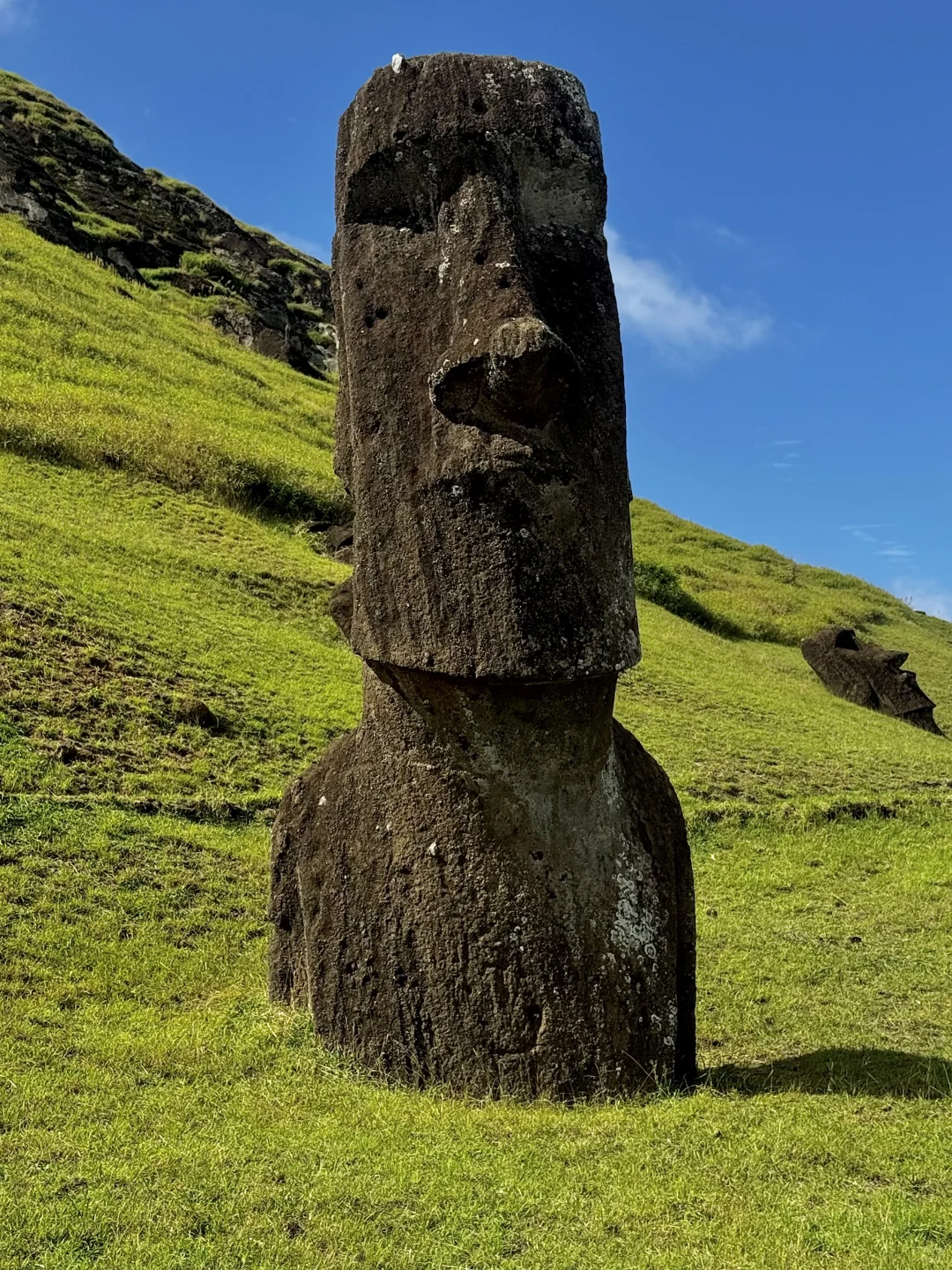 全村第一个去复活节岛🗿