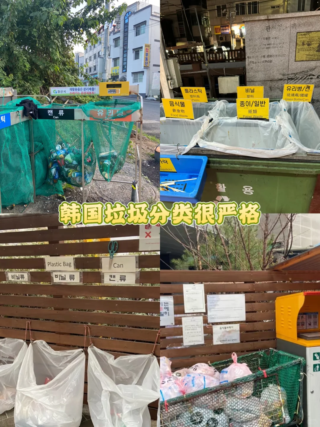 🇰🇷韩国呆了5天，我真的要崩溃了😰