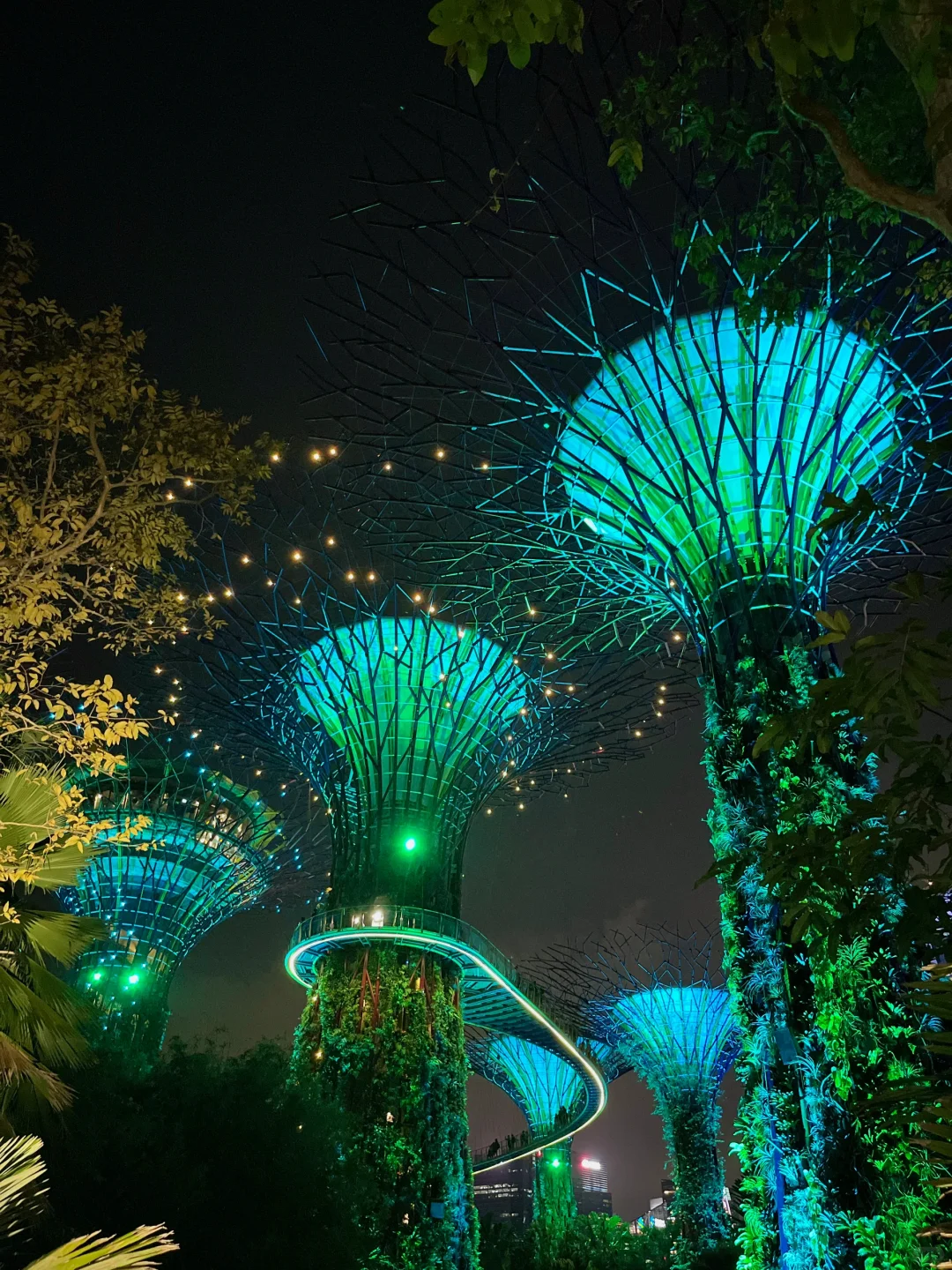 新加坡旅行后劲太大了😭哭着发出18张live….