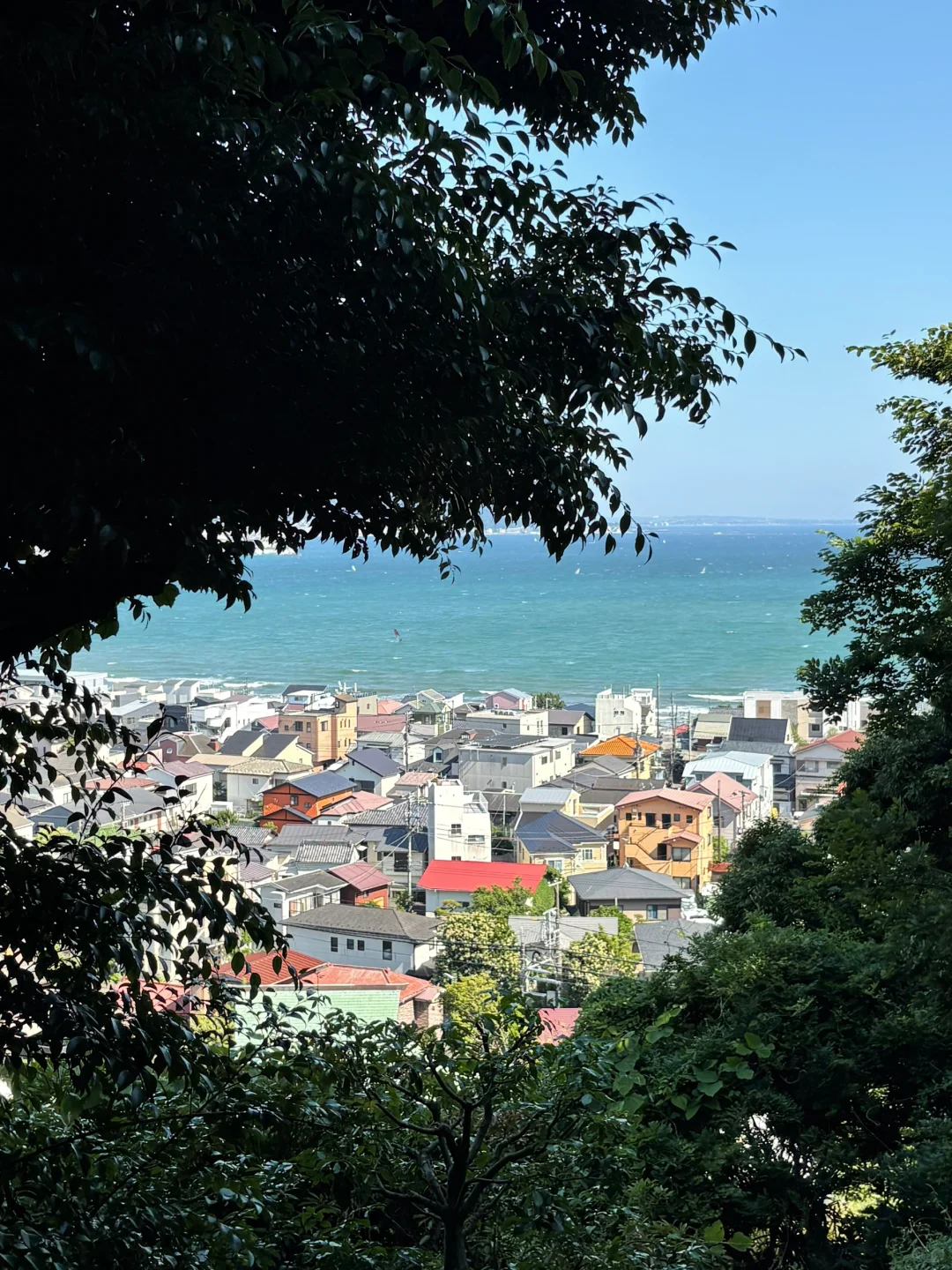 一个人出国旅游了，却并没有很开心