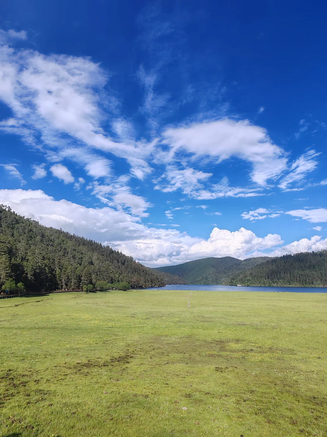 香格里拉普达措国家公园门票不便宜但确实美