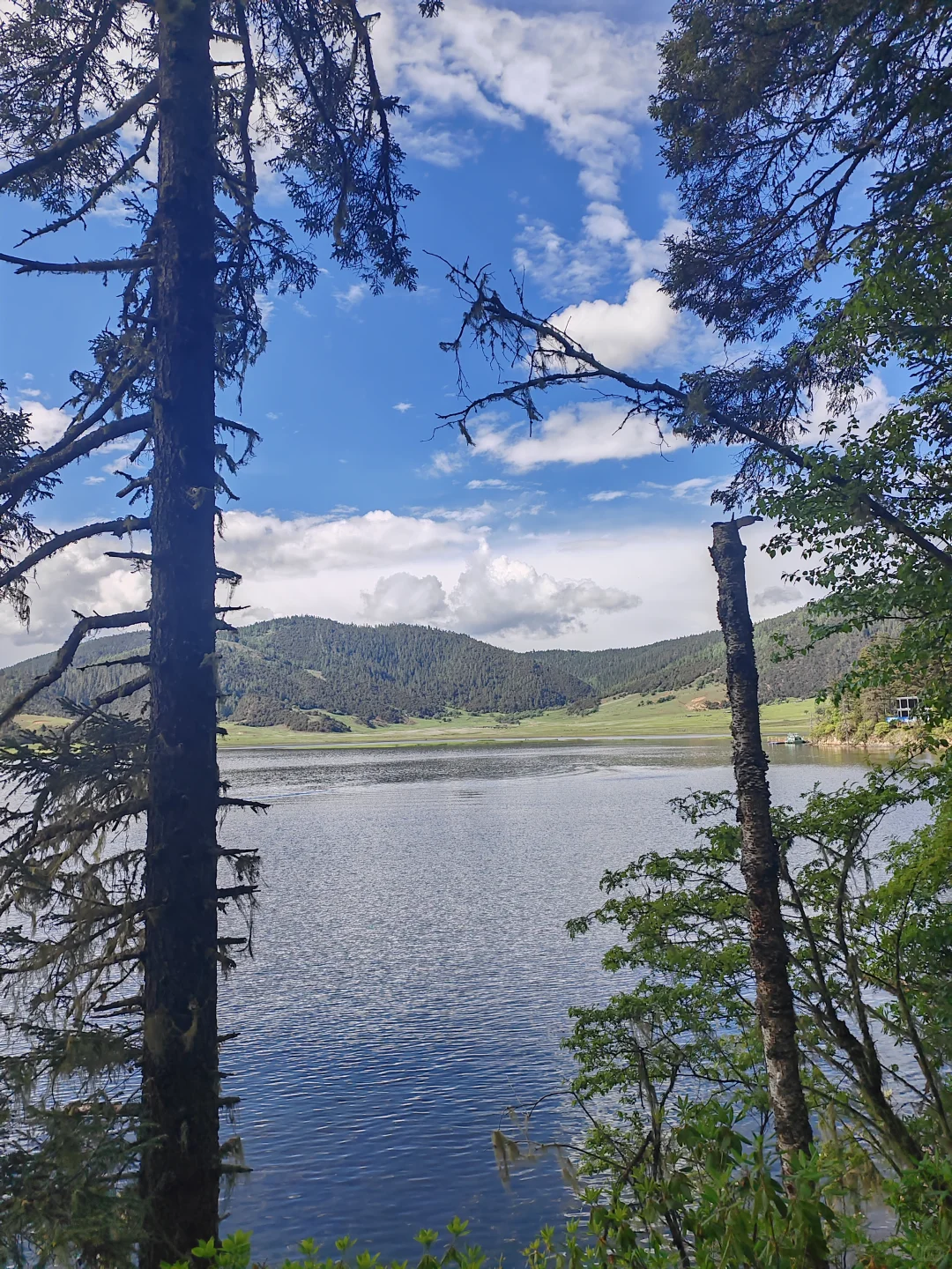 香格里拉普达措国家公园门票不便宜但确实美