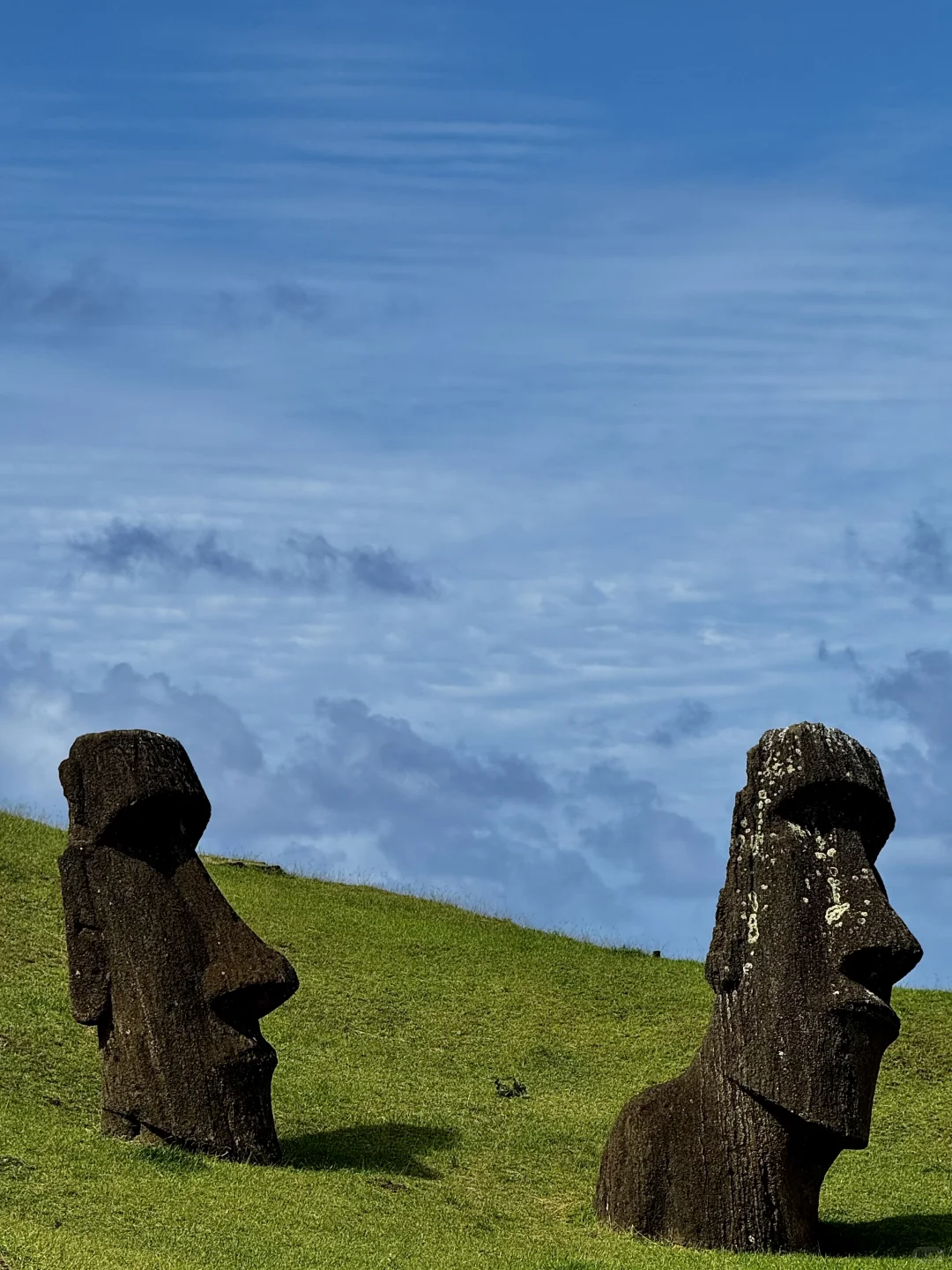 全村第一个去复活节岛🗿