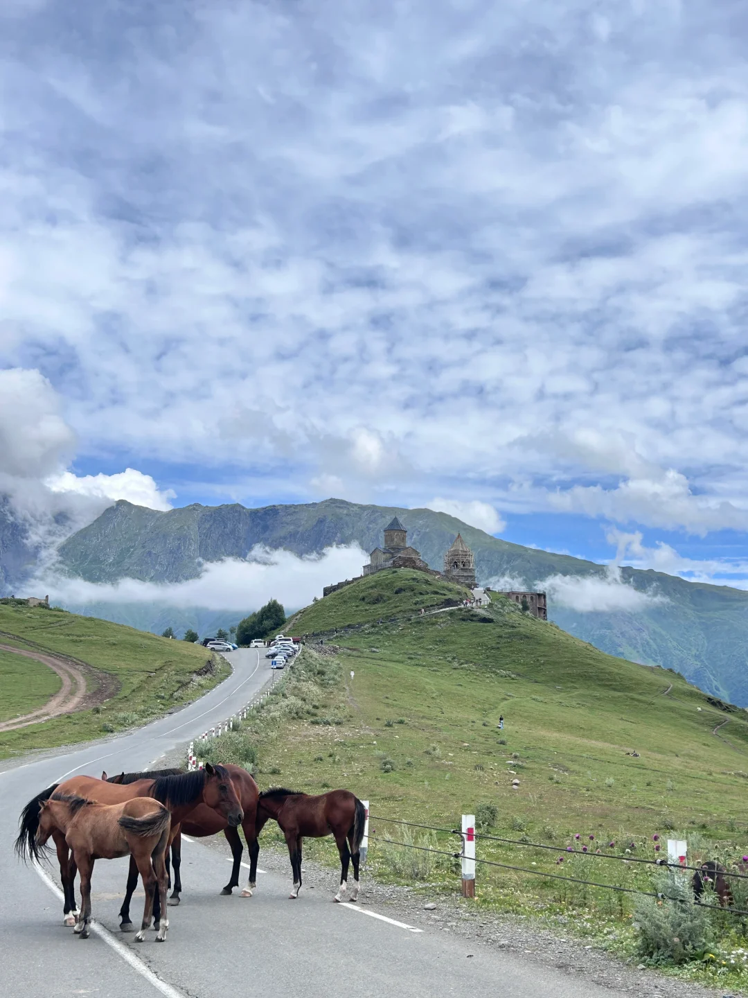 🇬🇪格鲁吉亚12天自由行共花费1500人民币