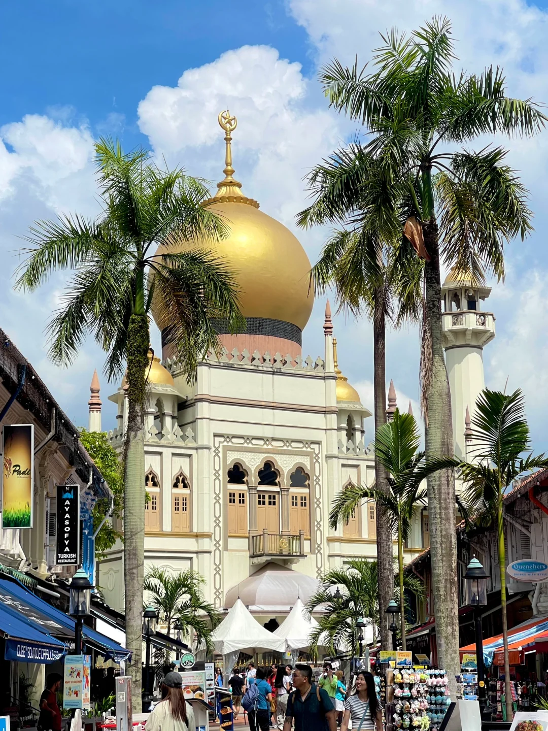 新加坡旅行后劲太大了😭哭着发出18张live….