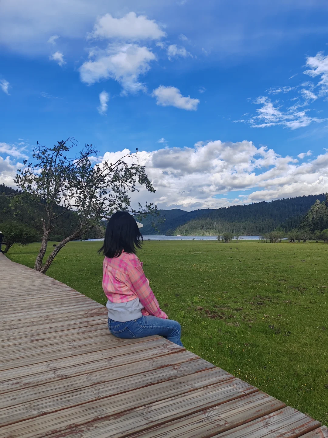 香格里拉普达措国家公园门票不便宜但确实美