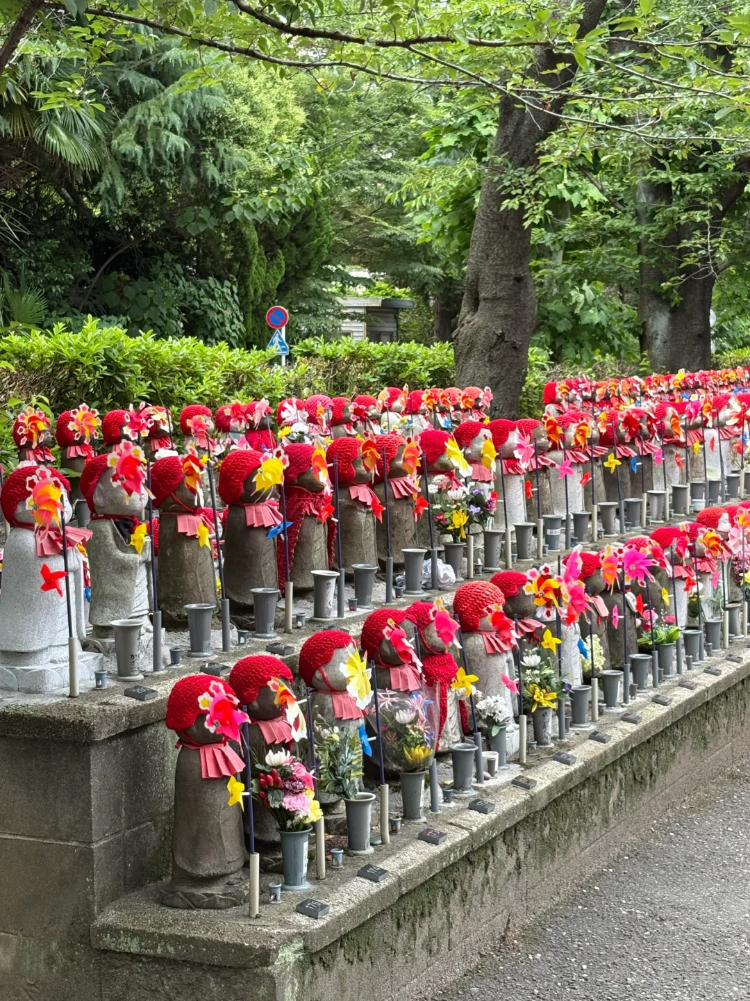 一个人出国旅游了，却并没有很开心
