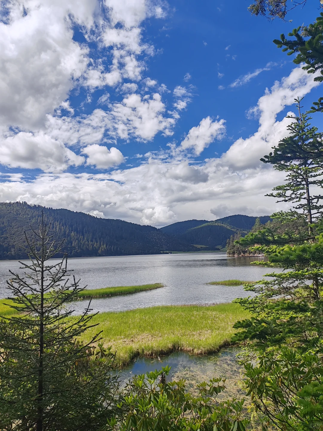 香格里拉普达措国家公园门票不便宜但确实美