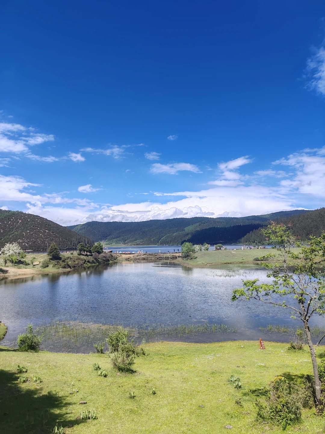 香格里拉普达措国家公园门票不便宜但确实美