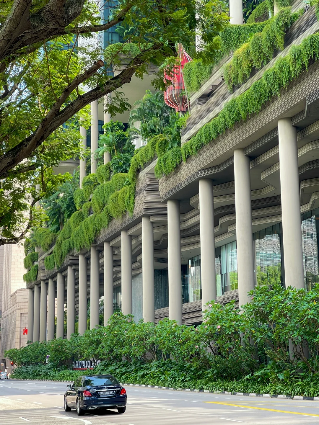 新加坡旅行后劲太大了😭哭着发出18张live….