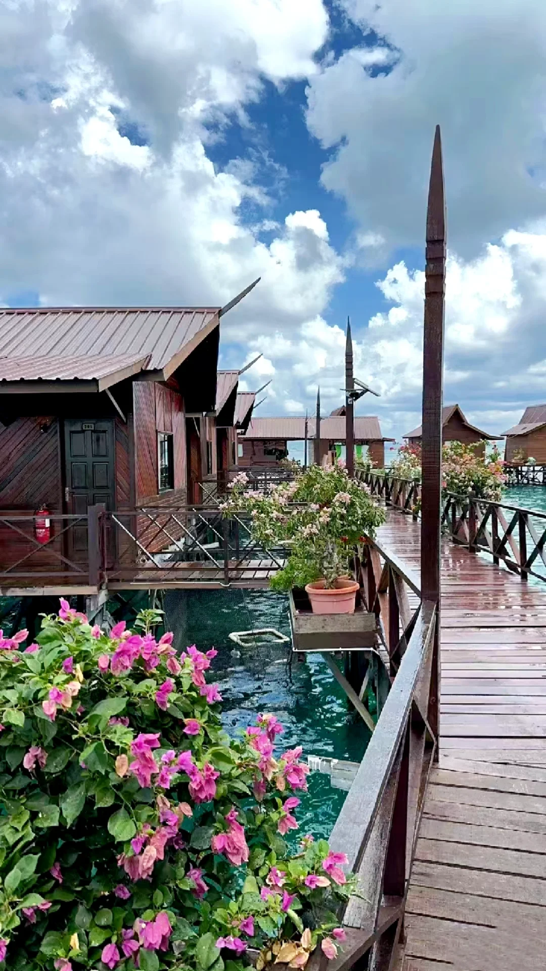 六七月份国外旅游去哪❓我悟了❗️