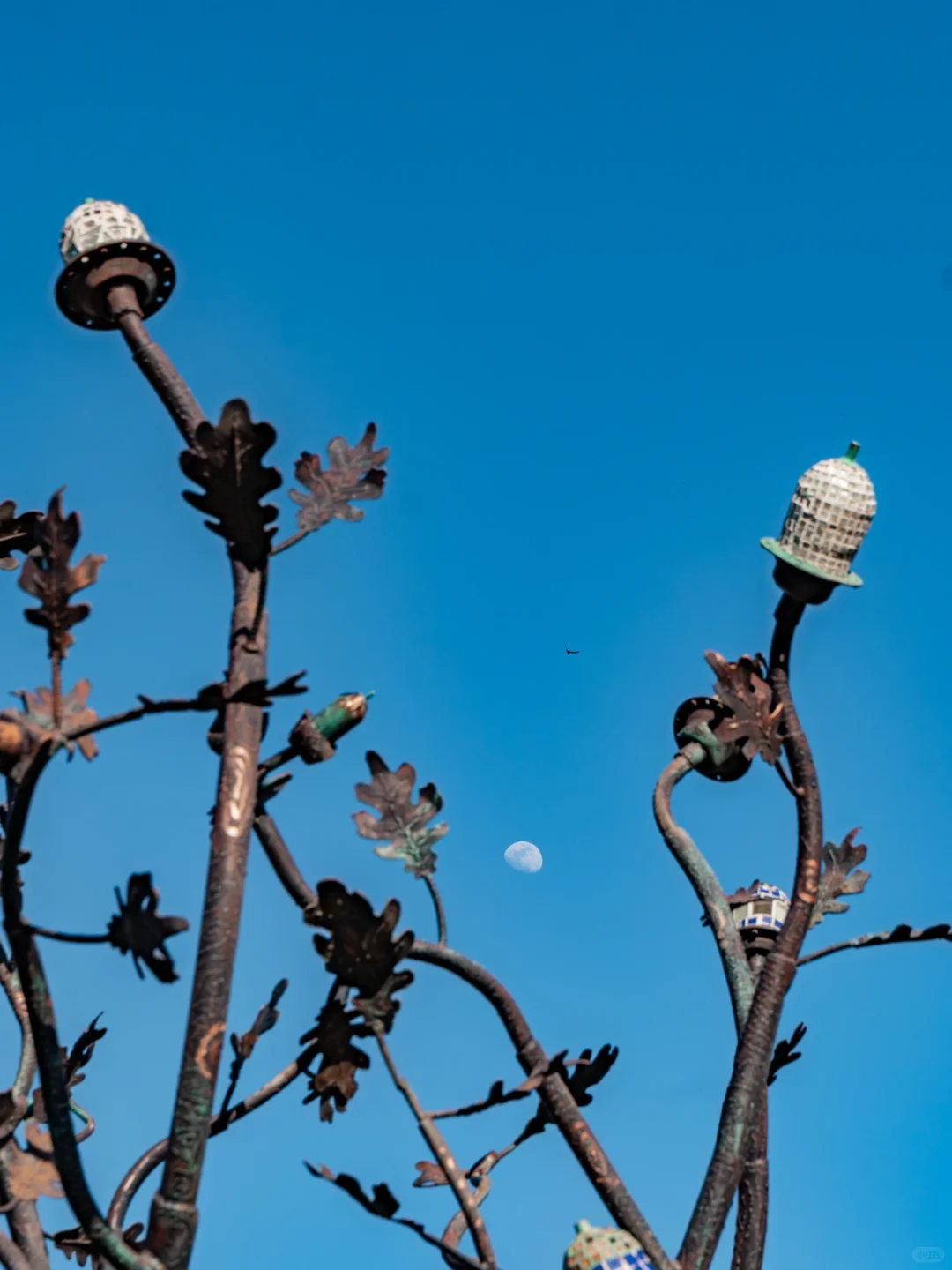 迄今为止❗️我最喜欢的小众免签国出现了❗️