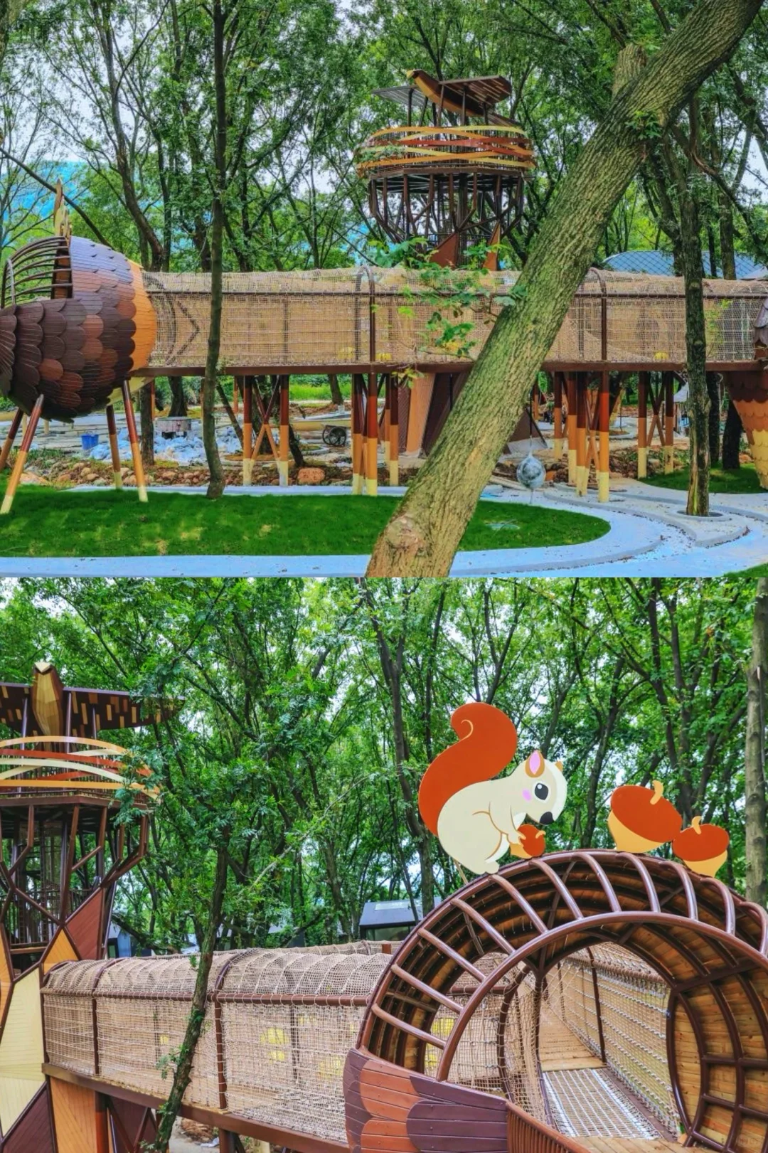 真的是合肥❗️不是西溪南🌿发朋友圈被问疯了