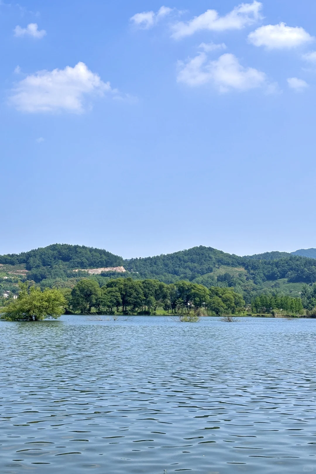 真的是合肥❗️不是西溪南🌿发朋友圈被问疯了