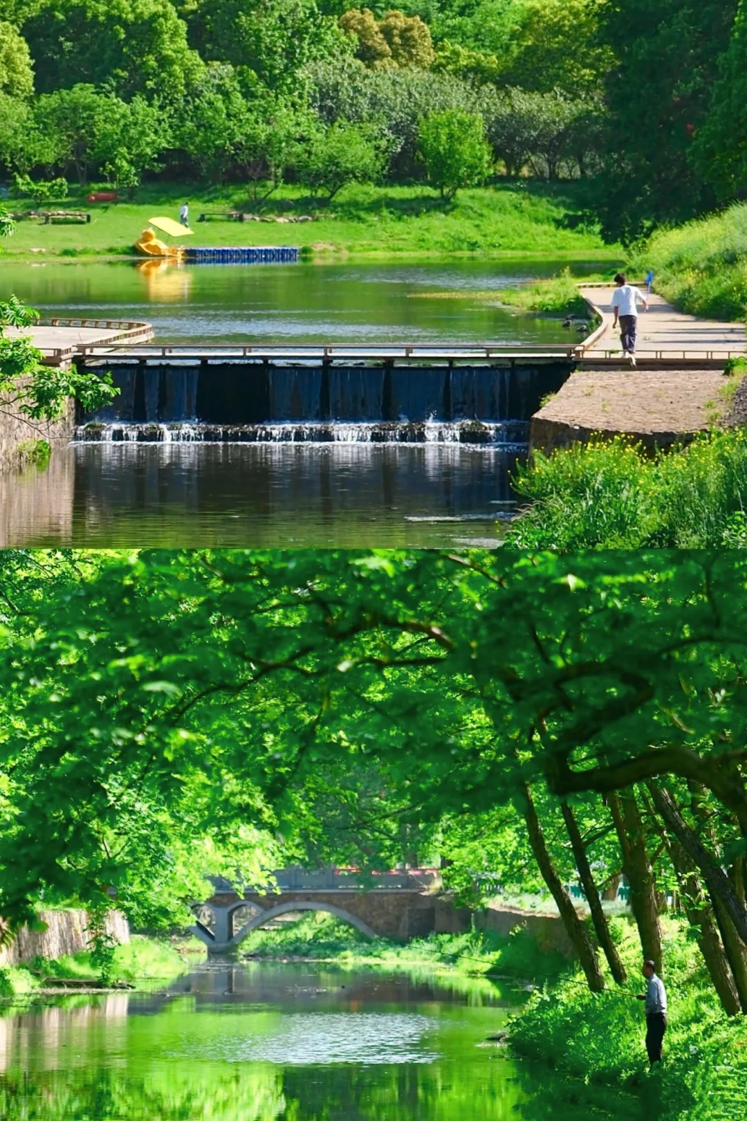 真的是合肥❗️不是西溪南🌿发朋友圈被问疯了