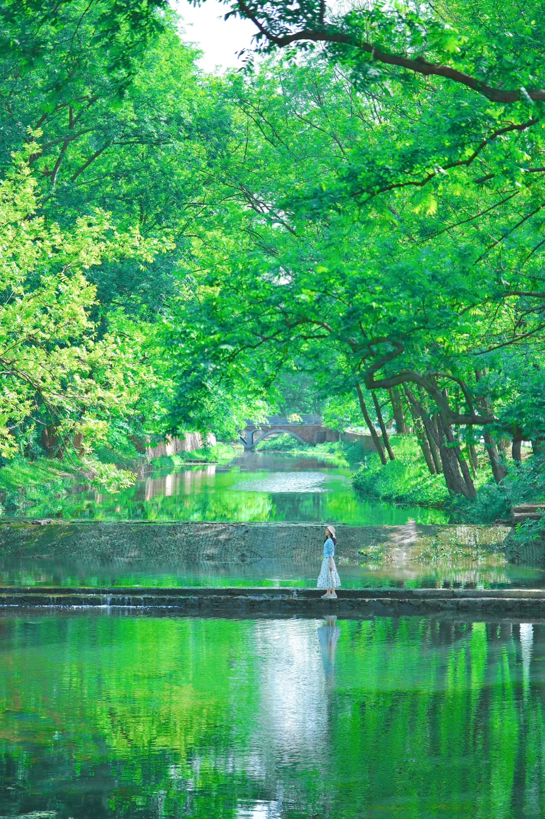 真的是合肥❗️不是西溪南🌿发朋友圈被问疯了