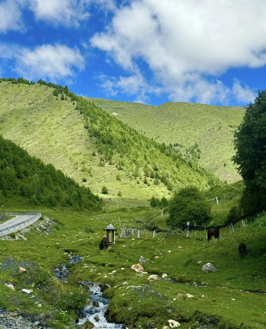 📍你来康定 城在等你 风在唤你