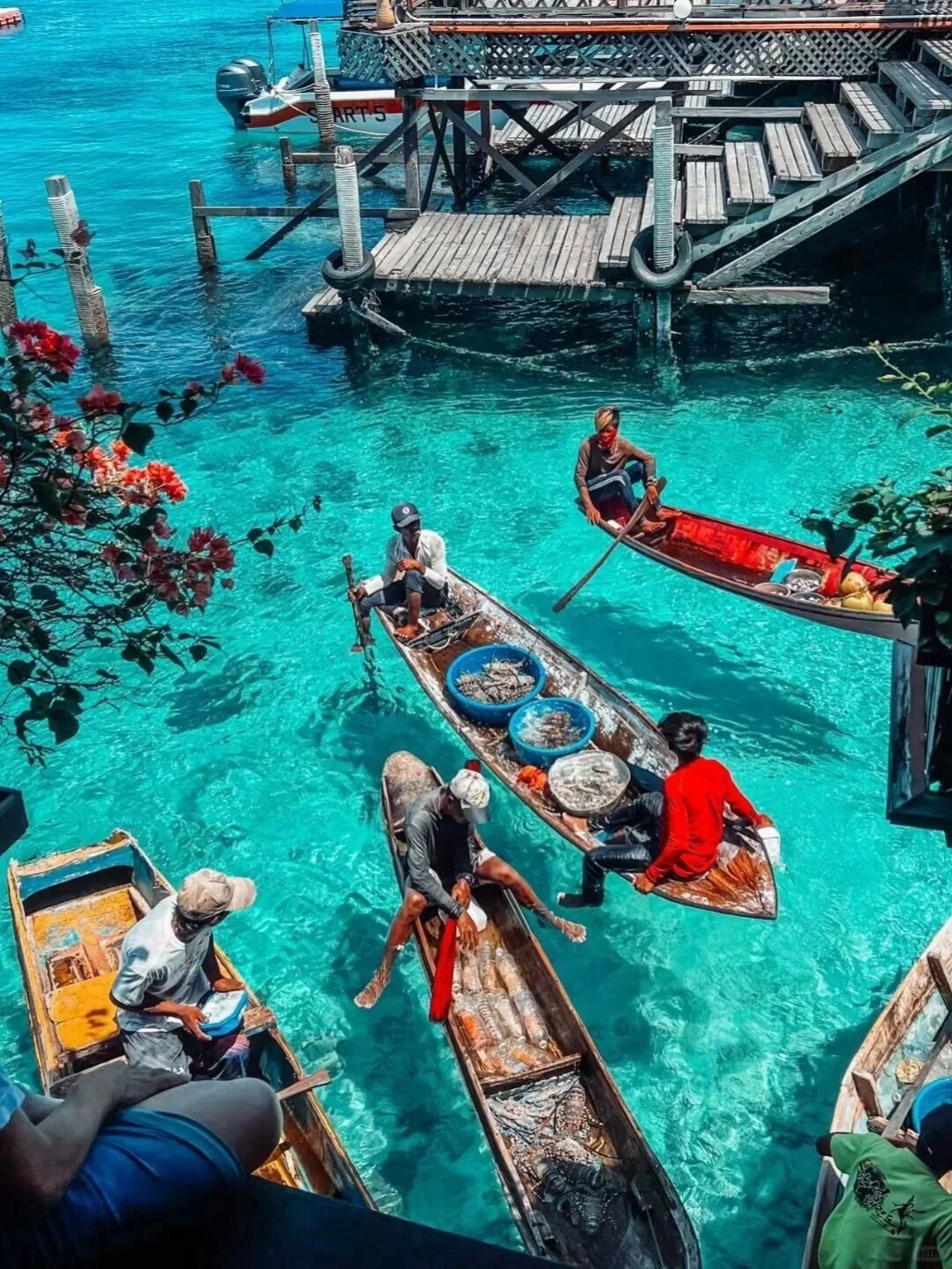 仙本那😅6天人均4k+还免签，暑假国庆冲呀