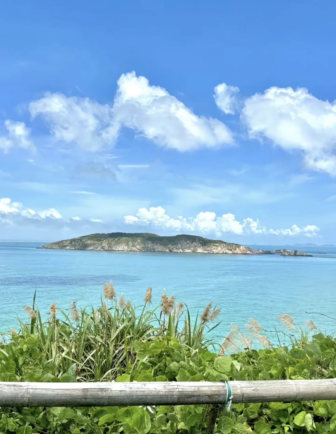 🌊2025南麂岛全攻略|承包你的海岛九宫格