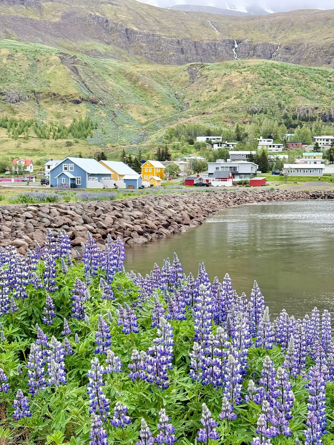 🌸 5月的冰岛,已经美到Next Level了!