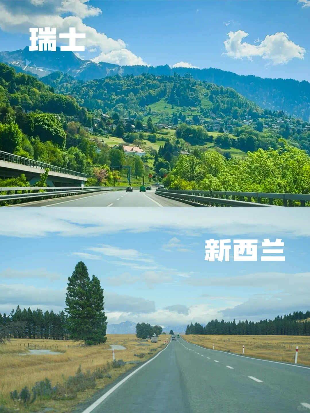 瑞士🆚新西兰实拍对比‼️吃喝玩乐优缺点速看