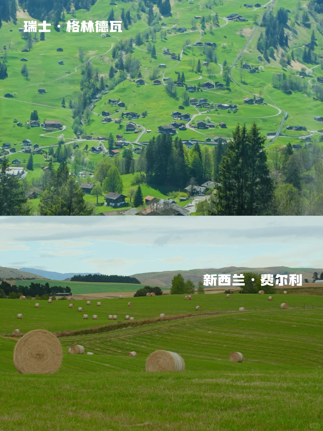 瑞士🆚新西兰实拍对比‼️吃喝玩乐优缺点速看
