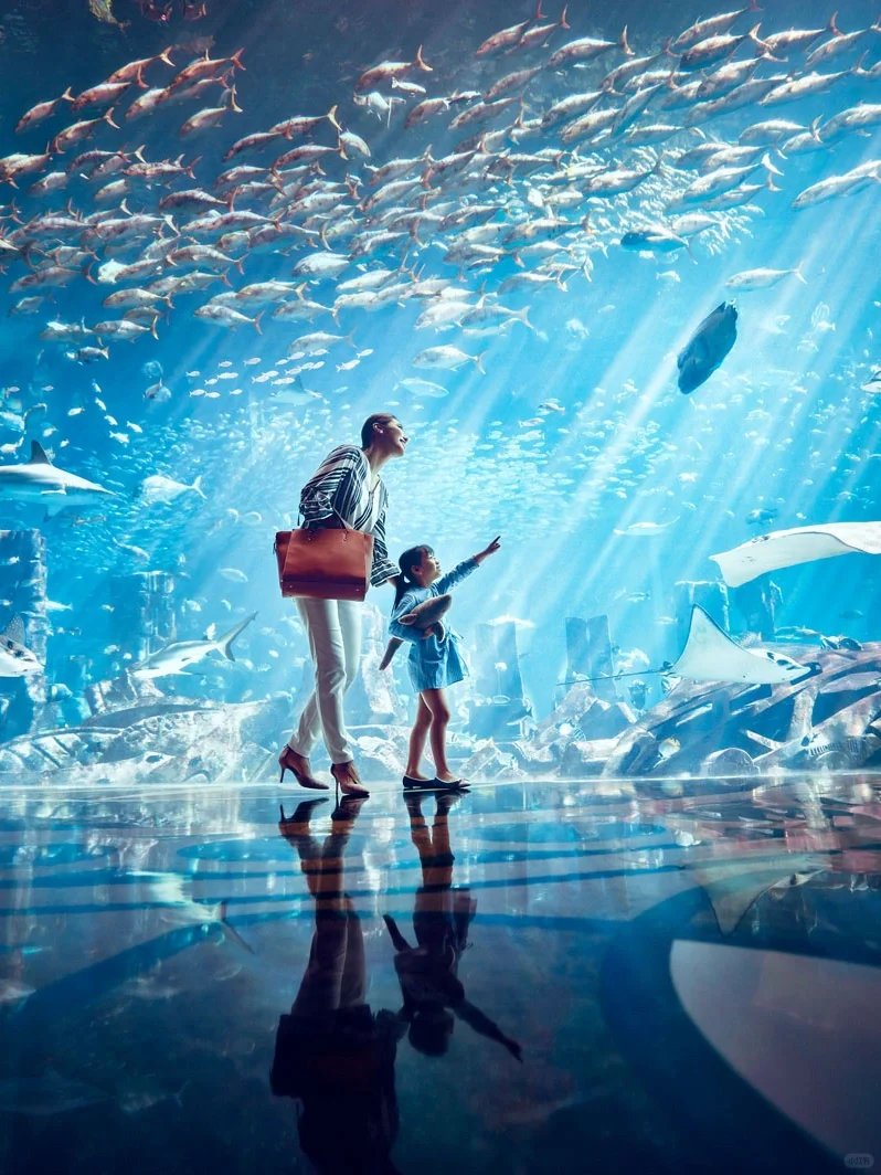 迪拜免签~去了一次,被美哭了!!