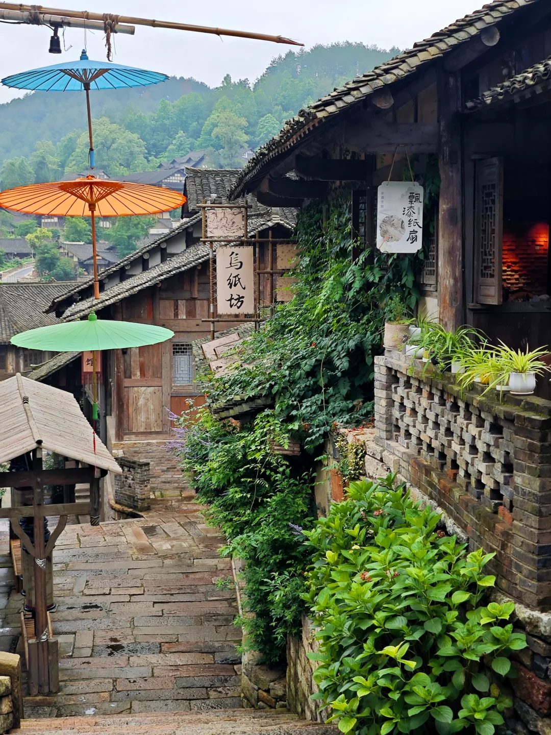 人生建议:暑假一定要留给7月份的乌江寨!