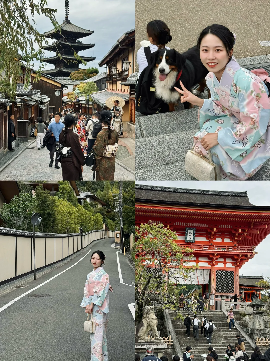 日本旅游看这篇就够了‼️（附购物攻略）