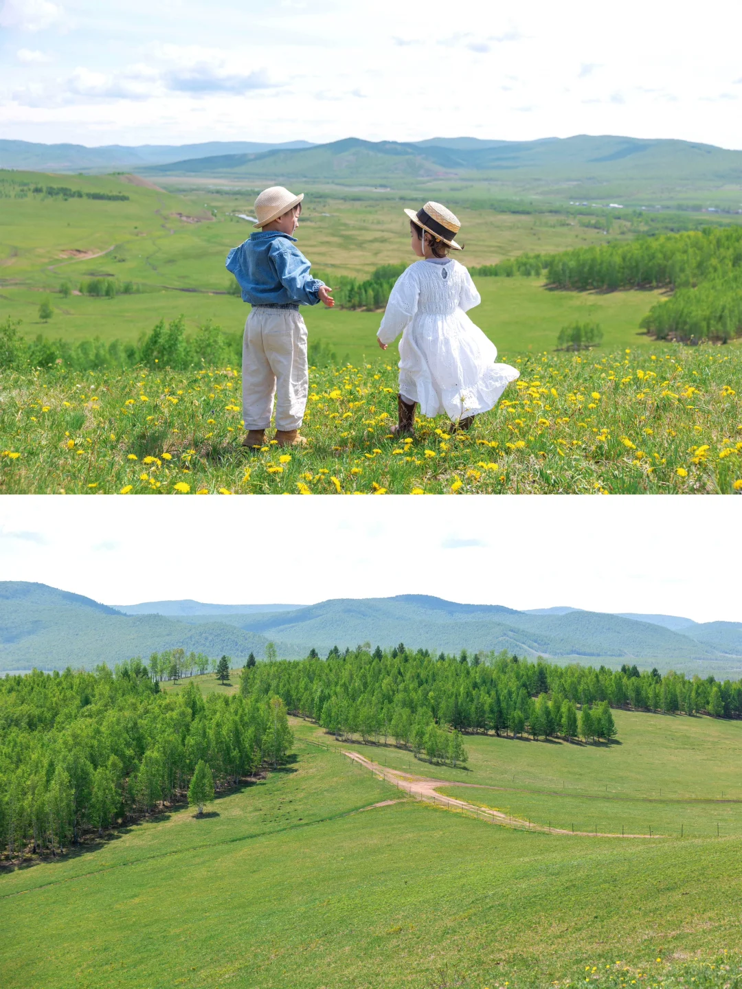 夏天的呼伦贝尔太适合遛娃了！六天五夜攻略