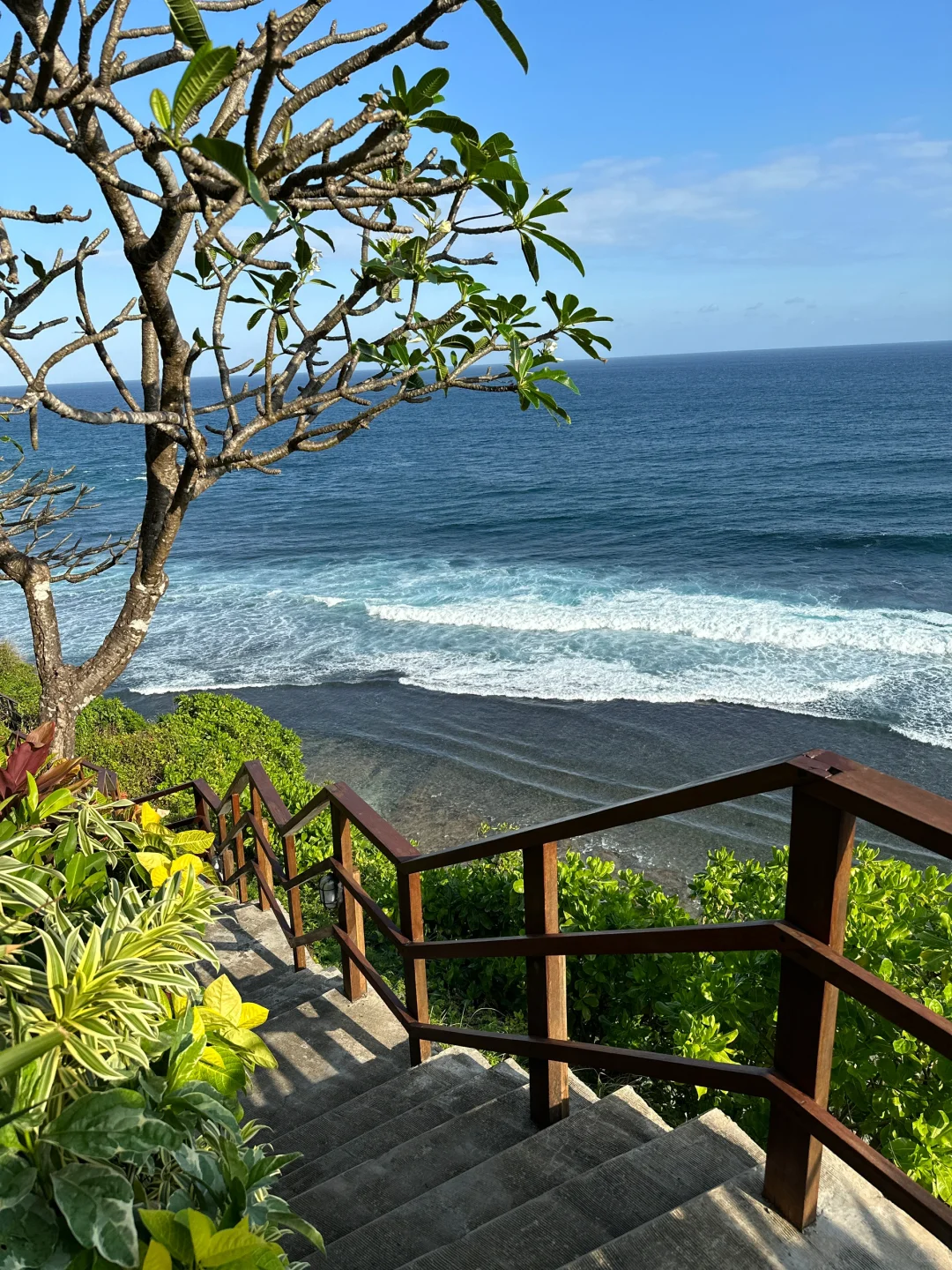 我们应该去享受世界🌍