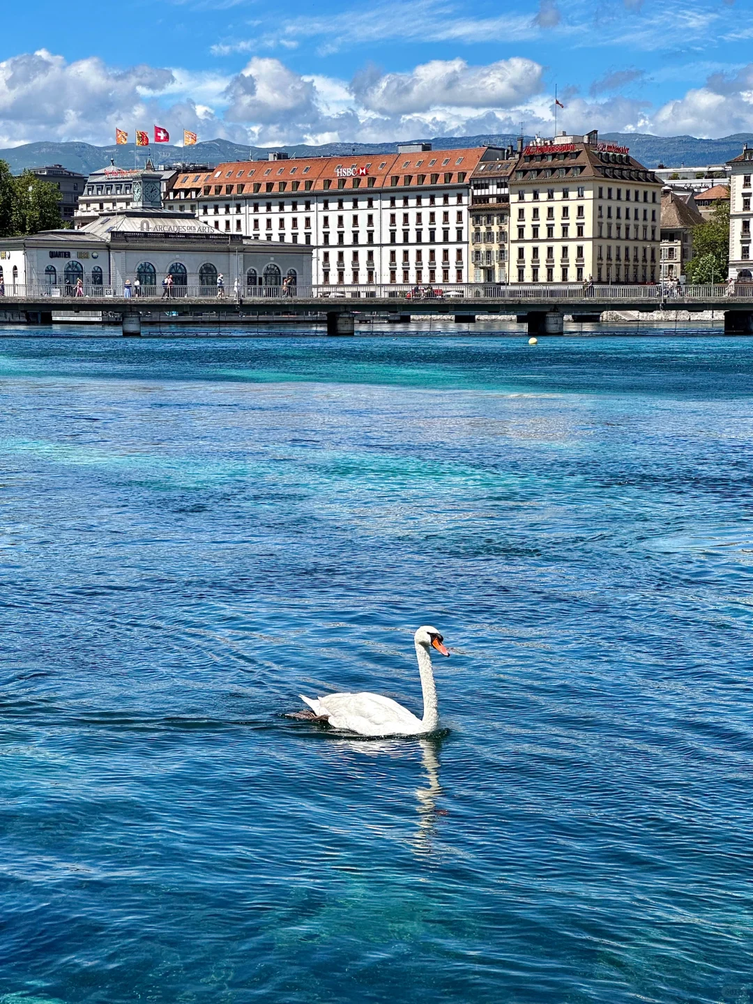 在瑞士🇨🇭拍到的每一张都是人生照片！！！